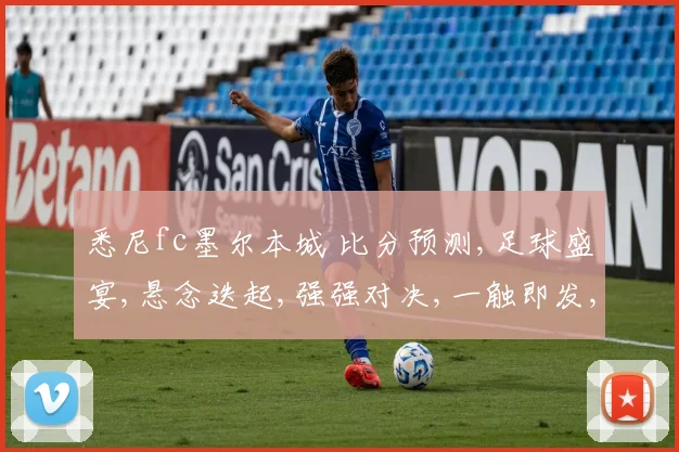 悉尼fc墨尔本城 比分预测,足球盛宴,悬念迭起,强强对决,一触即发,谁将问鼎