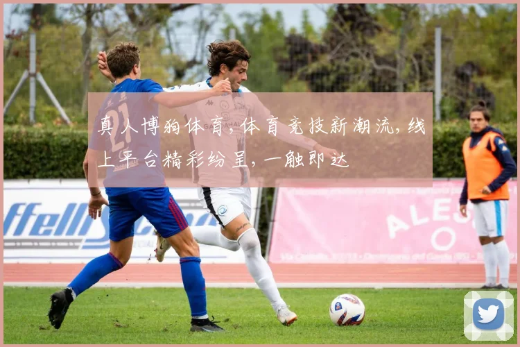 真人博狗体育,体育竞技新潮流,线上平台精彩纷呈,一触即达
