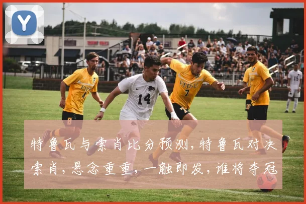 特鲁瓦与索肖比分预测,特鲁瓦对决索肖,悬念重重,一触即发,谁将夺冠