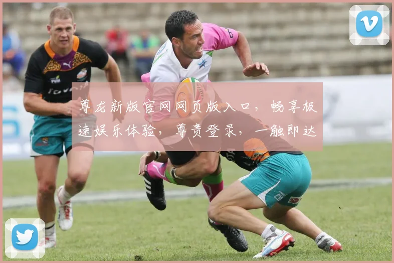 尊龙新版官网网页版入口，畅享极速娱乐体验，尊贵登录，一触即达，立即开启