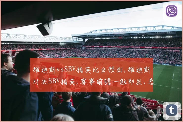 维迪斯vsSBV精英比分预测,维迪斯对决SBV精英,赛事前瞻一触即发,悬念重重